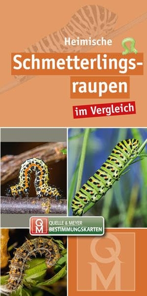 Quelle & Meyer Verlag (Hrsg.). Heimische Schmetterlingsraupen im Vergleich - 10er-Set. Quelle + Meyer, 2020.
