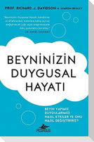 Beyninizin Duygusal Hayati