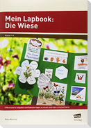 Mein Lapbook: Die Wiese