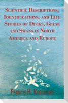 Scientific Descriptions, Identifications, and Life Stories of Ducks, Geese and Swans in North America and Europe