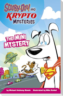 The Mini Mystery