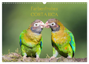 Farbenfrohes Costa Rica (Wandkalender 2024 DIN A3 quer), CALVENDO Monatskalender
