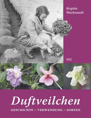Wachsmuth, Brigitte. Duftveilchen - Geschichte - Verwendung - Sorten. VDG, 2018.
