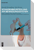 Grundlagen, Gelenkflächen, Osteonekrosen, Epiphysen, Impingement, Synovialis