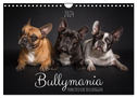 Bullymania - Französische Bulldoggen (Wandkalender 2024 DIN A4 quer), CALVENDO Monatskalender