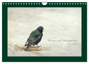 Stare und Weisheiten (Wandkalender 2024 DIN A4 quer), CALVENDO Monatskalender