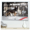 Der Bullterrier der beste Hund der Welt (hochwertiger Premium Wandkalender 2025 DIN A2 quer), Kunstdruck in Hochglanz