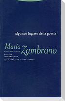 Algunos lugares de la poesía
