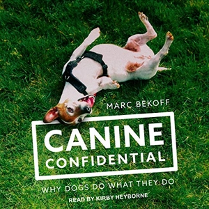 Bekoff, Marc. Canine Confidential: Why Dogs Do What They Do. Tantor, 2018.