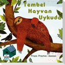 Tembel Hayvan Uykuda