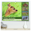 Wilder Nordosten - Aug in Aug mit Tieren der Ostseeregion (hochwertiger Premium Wandkalender 2024 DIN A2 quer), Kunstdruck in Hochglanz