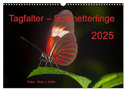 Tagfalter Schmetterlinge (Wandkalender 2025 DIN A3 quer), CALVENDO Monatskalender