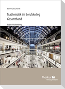Mathematik im Berufskolleg - Gesamtband