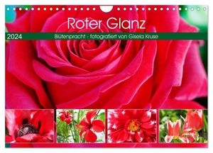 Kruse, Gisela. Roter Glanz Blütenpracht (Wandkalender 2024 DIN A4 quer), CALVENDO Monatskalender - Rot, die warme, leuchtende Farbe der Blumenwelt. Calvendo, 2023.