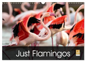Just Flamingos (Wall Calendar 2025 DIN A3 landscape), CALVENDO 12 Month Wall Calendar