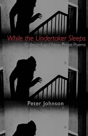 Johnson, Peter. While the Undertaker Sleeps. MadHat, Inc., 2023.