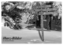 Harz-Bilder in monochrome (Wandkalender 2025 DIN A3 quer), CALVENDO Monatskalender