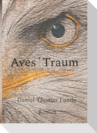 Aves´ Traum