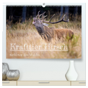 Krafttier Hirsch (hochwertiger Premium Wandkalender 2024 DIN A2 quer), Kunstdruck in Hochglanz