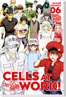 Cells at Work! 6