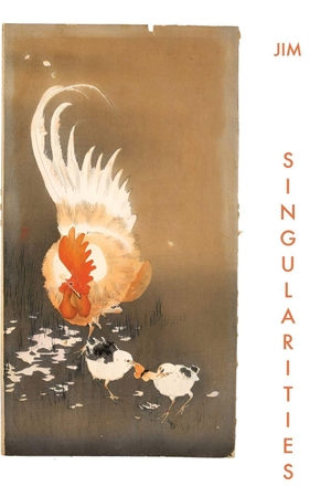 Jim. Jim's Blog - Singularities. West Martian Limited Company, 2026.