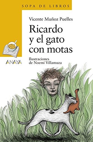 Muñoz Puelles, Vicente. Ricardo y el gato con motas. Anaya Educación, 2019.