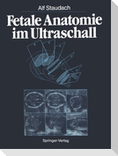Fetale Anatomie im Ultraschall