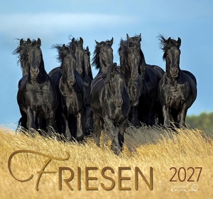 Boiselle, Gabriele (Hrsg.). Friesen 2027 - Friesen Pferde. Edition Boiselle, 2026.