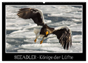 Seeadler - Könige der Lüfte (Wandkalender 2024 DIN A2 quer), CALVENDO Monatskalender