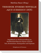 Theodor Storms Novelle Aquis submersus (1876)