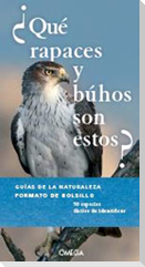 ¿Qué rapaces y buhos son estos?