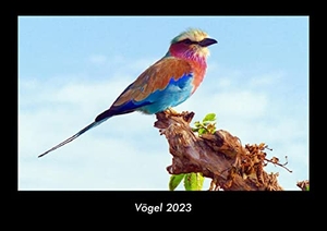 Tobias Becker. Vögel 2023 Fotokalender DIN A3 - Monatskalender mit Bild-Motiven von Haustieren, Bauernhof, wilden Tieren und Raubtieren. Vero Kalender, 2022.