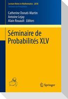 Séminaire de Probabilités XLV