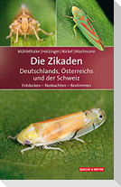 Die Zikaden Deutschlands, Österreichs und der Schweiz