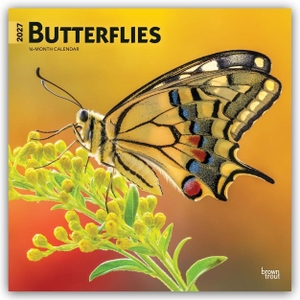 Publishers, Browntrout. Butterflies - Schmetterlinge 2027 - 16-Monatskalender - Original BrownTrout-Kalender [Mehrsprachig] [Kalender]. Browntrout Verlags GmbH, 2026.