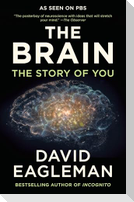 The Brain
