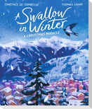 A Swallow in Winter