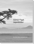 Günter Figal - Japanbilder