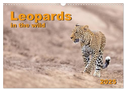 Leopards in the wild (Wall Calendar 2025 DIN A3 landscape), CALVENDO 12 Month Wall Calendar