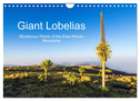 Giant Lobelias - Mysterious Plants of the East African Mountains (Wall Calendar 2024 DIN A4 landscape), CALVENDO 12 Month Wall Calendar
