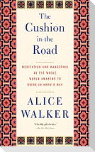 The Cushion in the Road