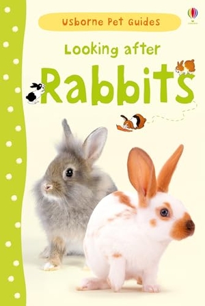 Patchett, Fiona. Looking after Rabbits. Usborne Publishing Ltd, 2013.