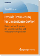 Hybride Optimierung für Dimensionsreduktion