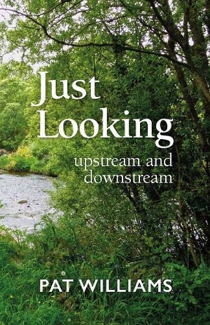Williams, Pat. Just Looking - upstream and downstream. Human Givens Publishing Ltd, 2019.