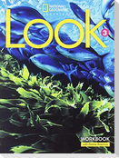 Look 3: Workbook with the Spark Platform (Ame)
