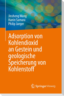 Adsorption von Kohlendioxid an Gestein und geologische Speicherung von Kohlenstoff