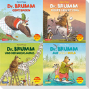 Maxi-Pixi-Box 91: Neues von Dr. Brumm (4x5 Exemplare)