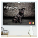 Urban Dogs - Hundekalender der anderen Art (hochwertiger Premium Wandkalender 2024 DIN A2 quer), Kunstdruck in Hochglanz