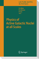 Physics of Active Galactic Nuclei at all Scales