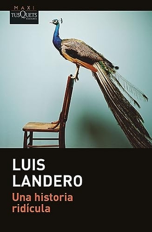 Landero, Luis. Una historia ridicula. TUSQUETS, 2023.